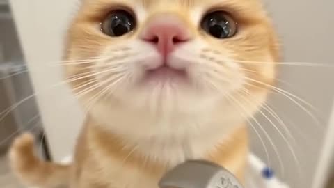 cute