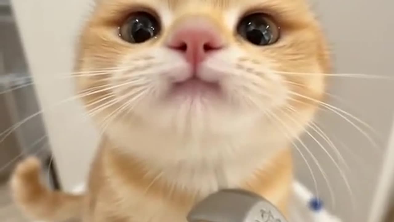cute