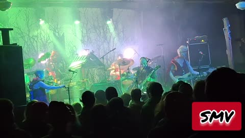 #ShittyMillennialVideos 📱📹🎬 SGM 😴🦍🖼️🎨 - Salamander/Two Worlds 🦎🌍🌎 @ WOW Hall Eugene, OR 03/01/2024