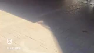 Algerians taunt an elderly French man in his own country, shouting "long live Algeria