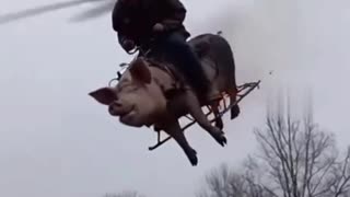 Alternative to “Tomahawks”? Meet the “Pigplane” — Test Launch Just Happened 😁