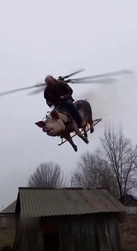 Alternative to “Tomahawks”? Meet the “Pigplane” — Test Launch Just Happened 😁