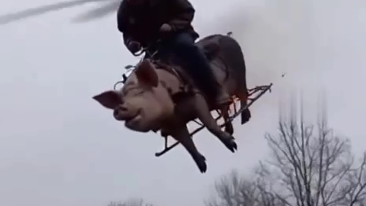 Alternative to “Tomahawks”? Meet the “Pigplane” — Test Launch Just Happened 😁