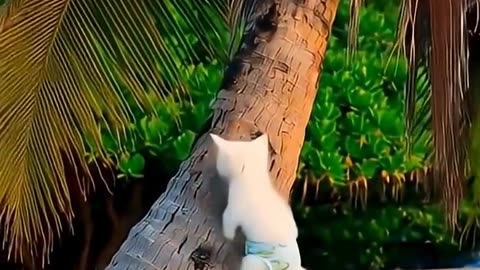We can never abandon a little animal. Sad