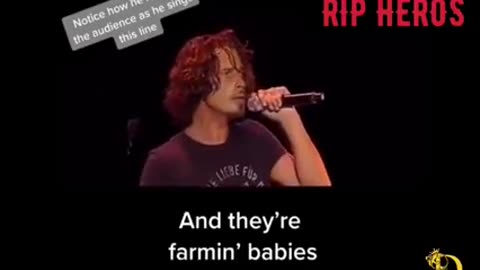 HUNGER 🍽 STRIKE [DECODED BY CHRIS CORNELL AND CHESTER BENNINGTON]