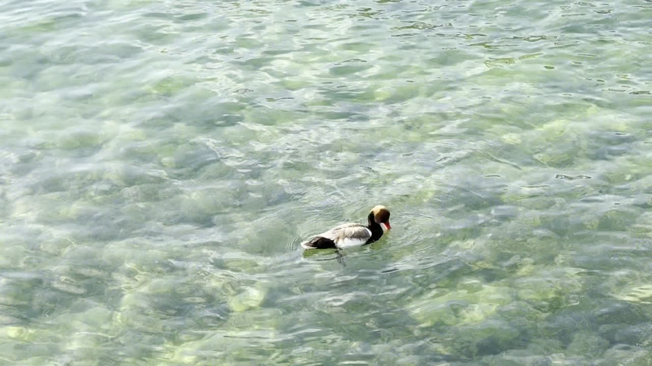 Luzern Lake Luzern Lake