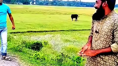 Funny Video (Follow My Channel)