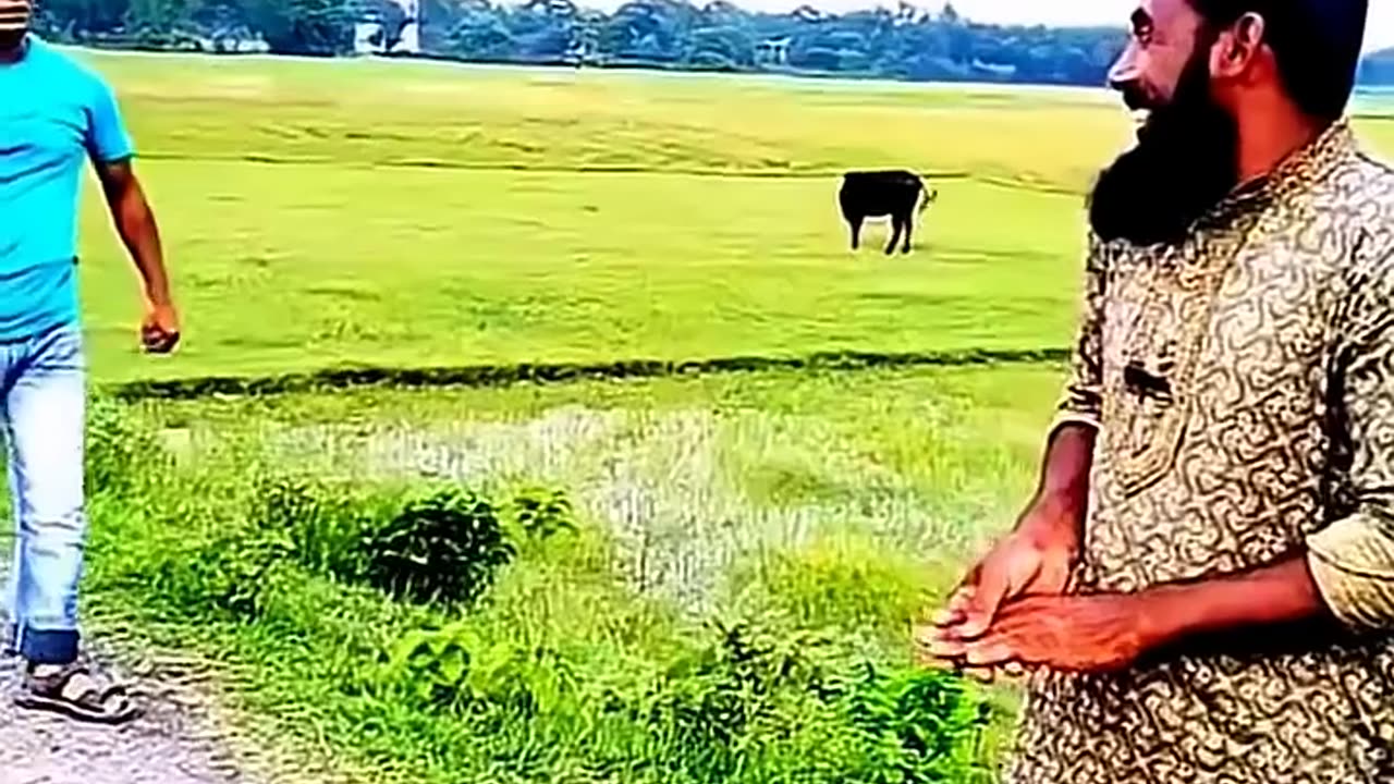Funny Video (Follow My Channel)