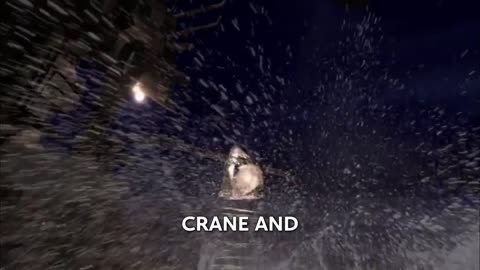 The Giant Shark Confession