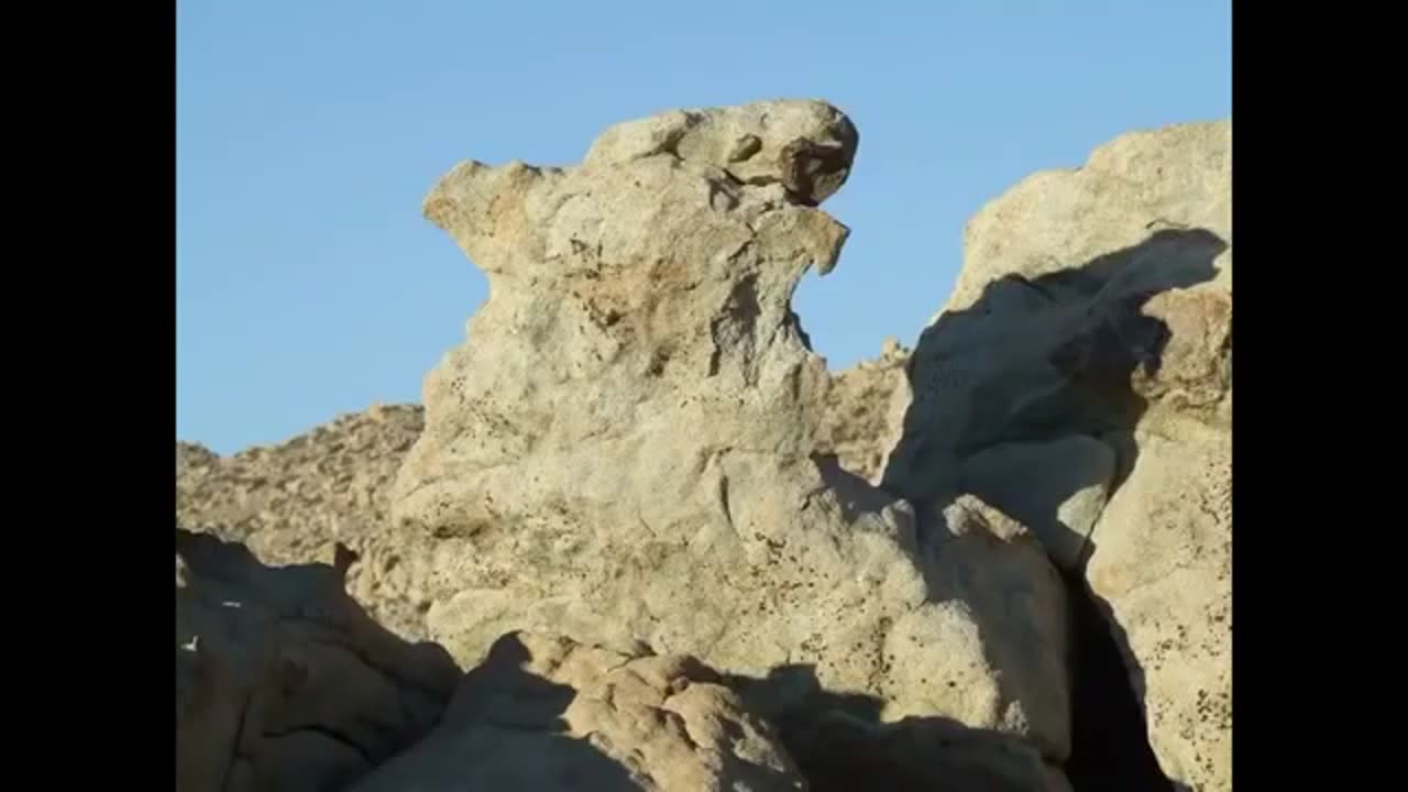 The Remains Of The Giants