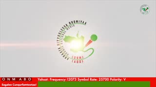 Oduu Ganama ONM-ABO Caamsaa 29-2025 itti dhiyaadhaa!