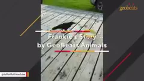Funny