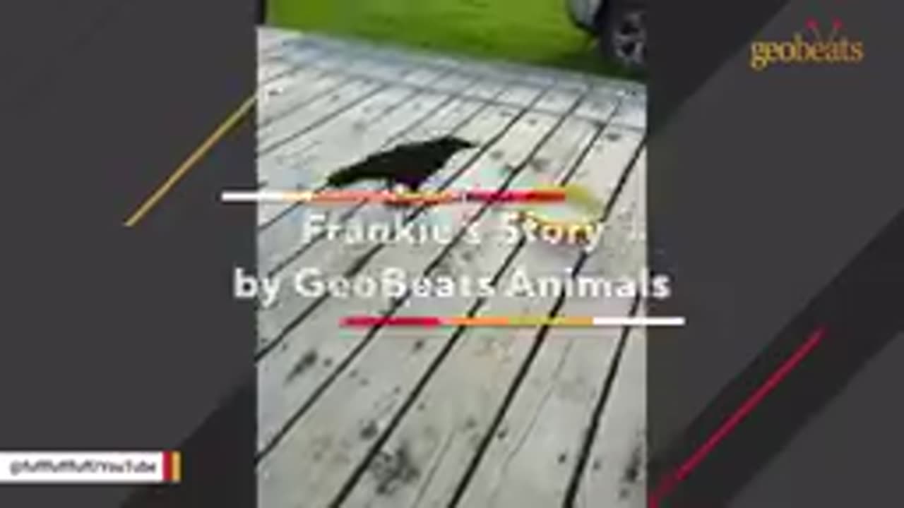 Funny