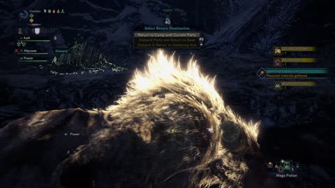 The heart of the beast