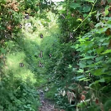 Bring Hope | Path and Tarot Reading