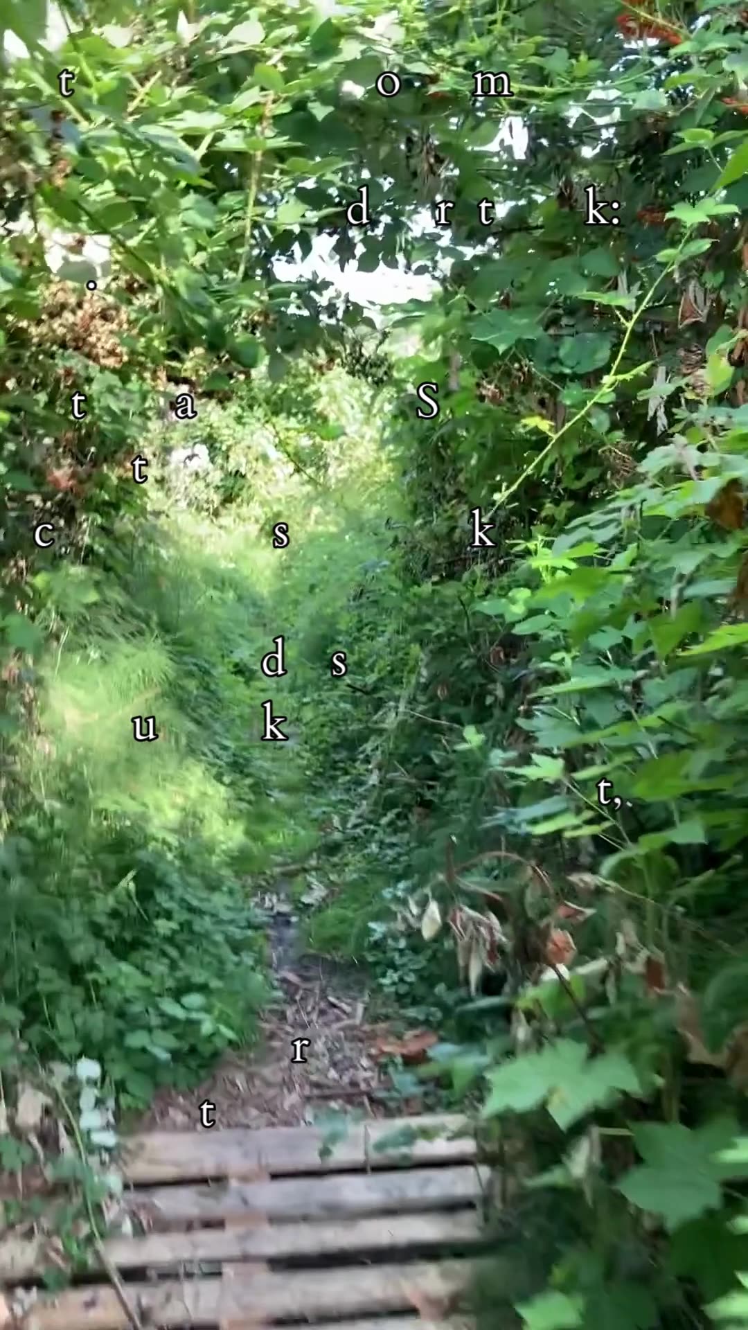 Bring Hope | Path and Tarot Reading