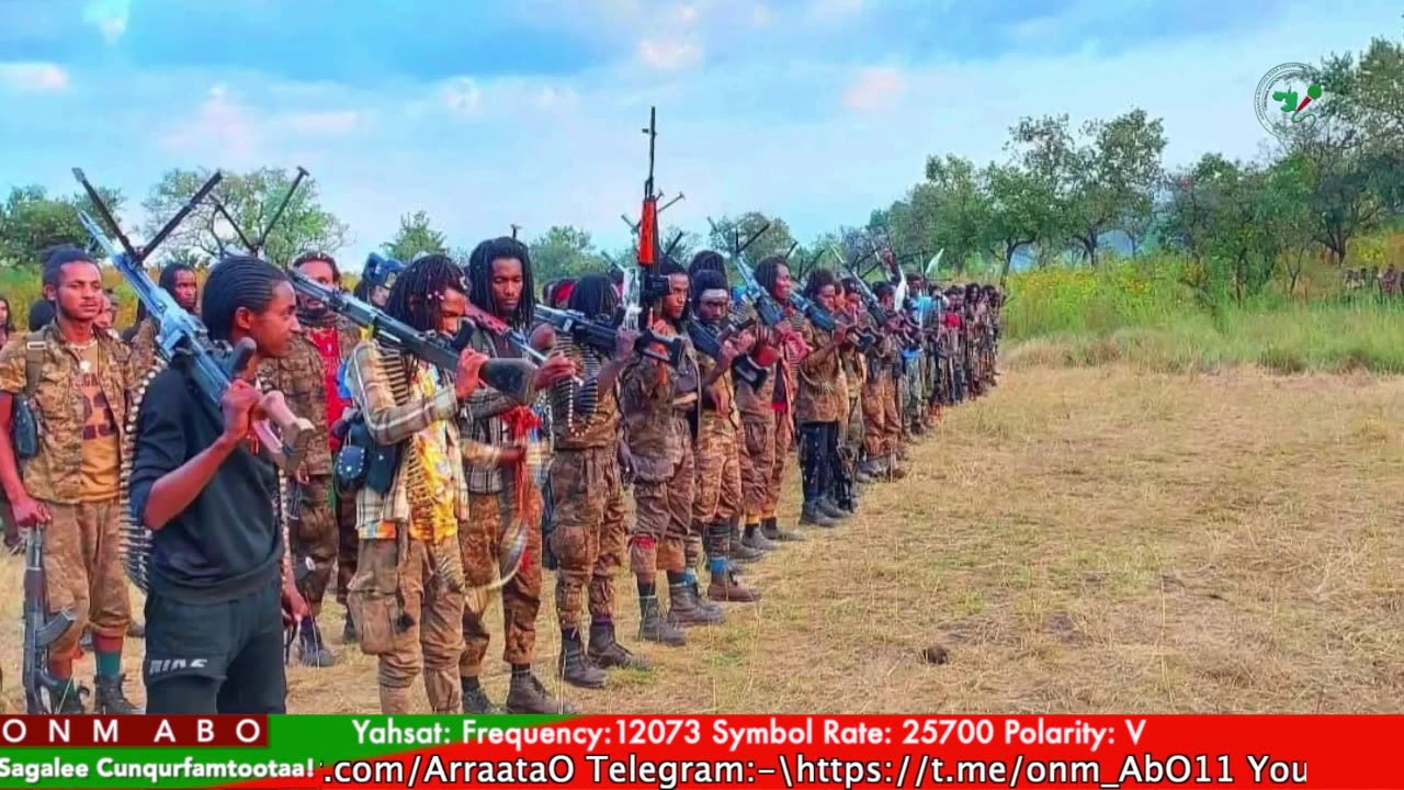 Gabaasa Tarkaanfii ONM-ABO Adoolessa 16-2025 itti dhiyaadhaa!