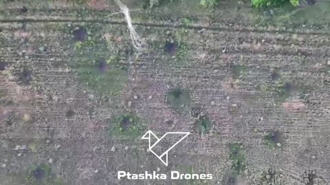 🚁💥 Ukraine Russia War | Ptashka Systems Drones Down Russian Mavic Drones Using Net Guns | RCF