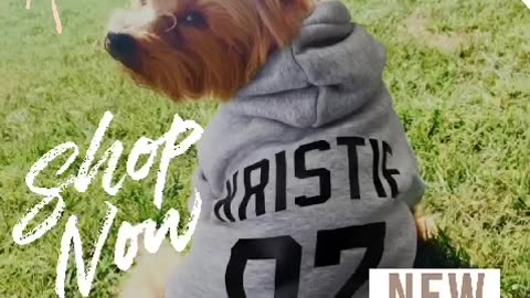 Vector Personalized Pet Toy Basket for Stylish Storage
