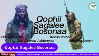 Qophii Sagalee Bosonaa ONM-ABO Sadaasa 8-2025 itti dhiyaadhaa!