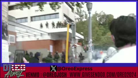 No Kings Protests Turned Out as Expected - White - Weekend Review - More