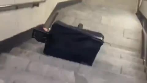 Cost Of Losing A Bet