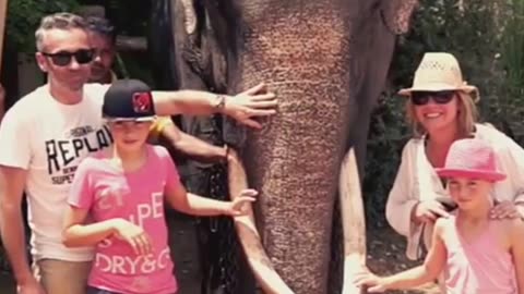 🎥 “Beautiful Jealousy 🐘🎶 Elephant Interrupts Song for Love + Lion & Antelope Moments”