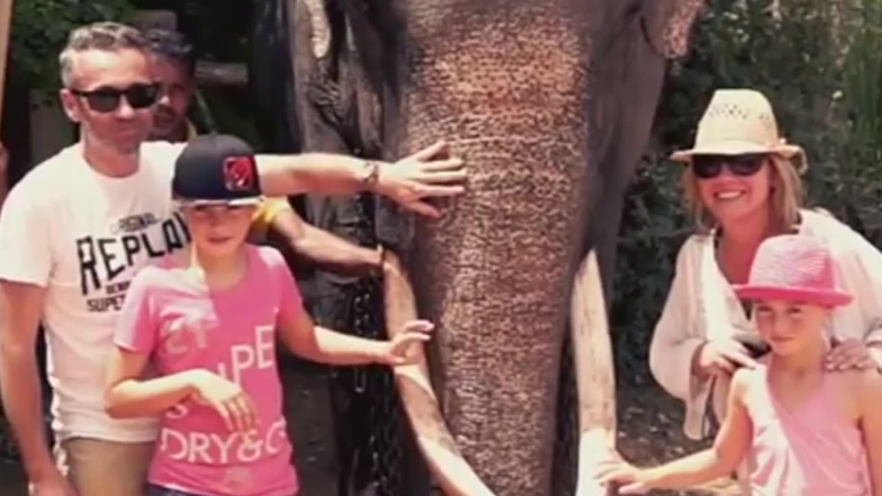 🎥 “Beautiful Jealousy 🐘🎶 Elephant Interrupts Song for Love + Lion & Antelope Moments”