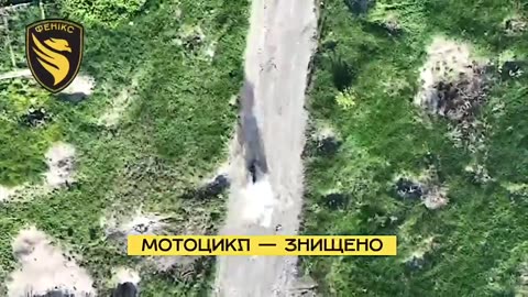 🔥 Phoenix unit of the State Border Guard Service destroyed several units of