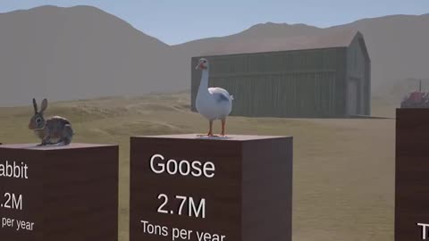Yearly animal consumption