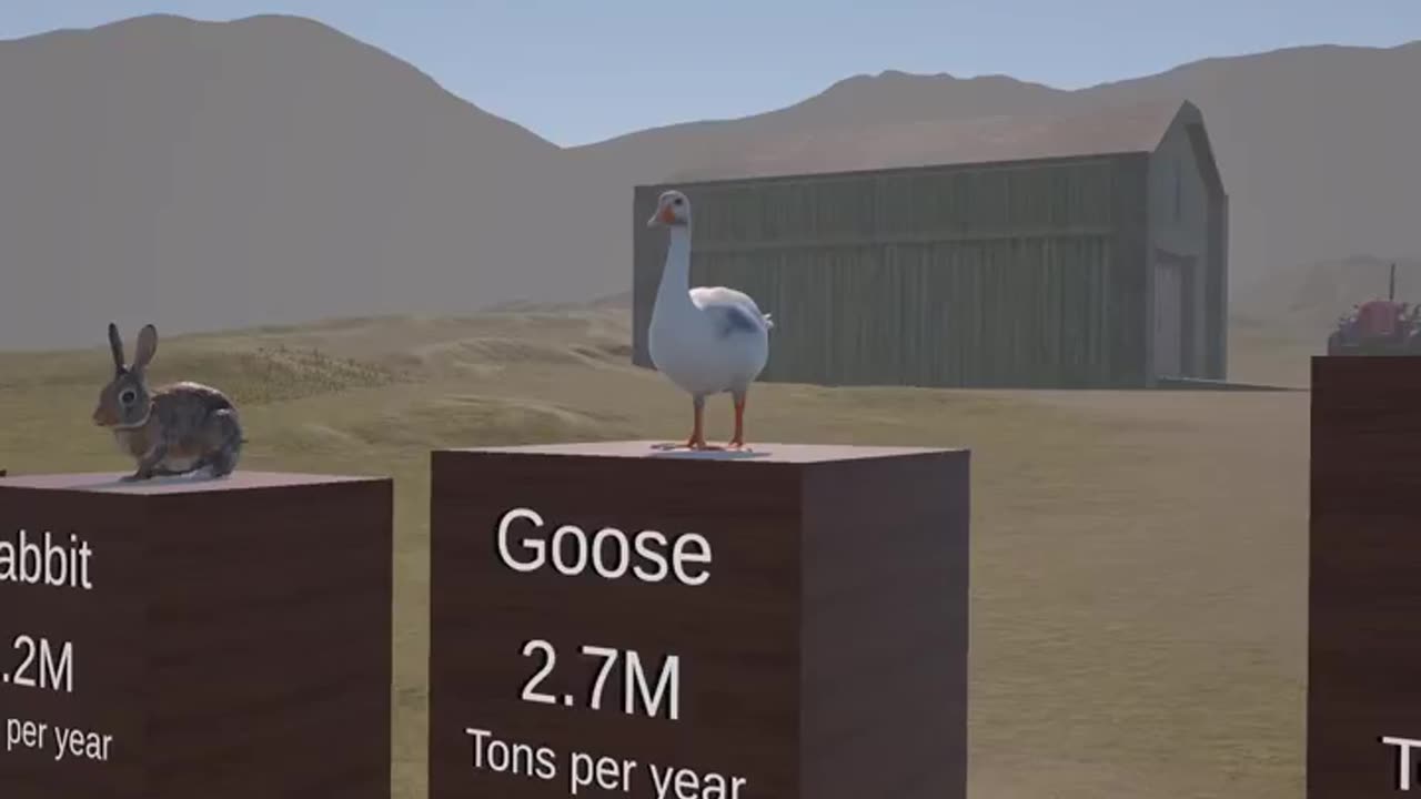 Yearly animal consumption
