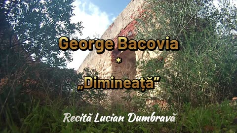 George Bacovia - Dimineață