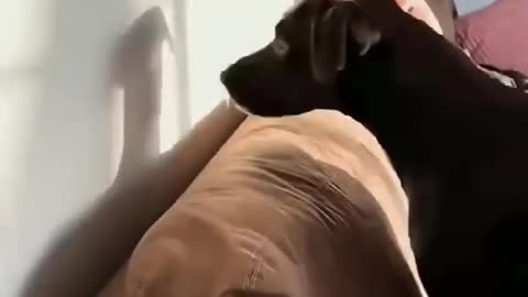 Reaction against shadows