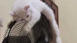 Very hot