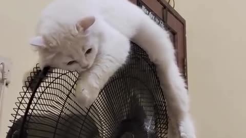 Very hot