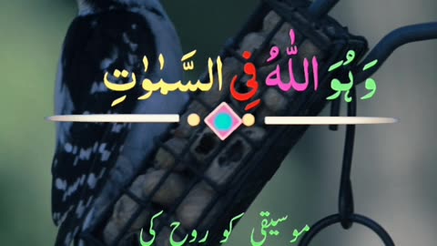 Surah al inaam
