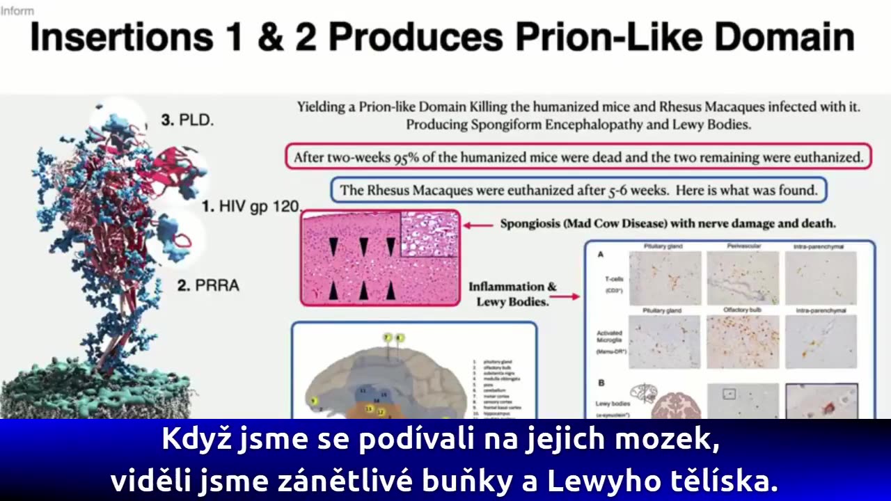 Dr Richard Fleming PhD, MD, JD HIV in the spike protein.