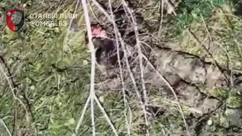 🔥🎯 Ukraine Russia War | Three Russians Eliminated After Shooting Civilian | RCF