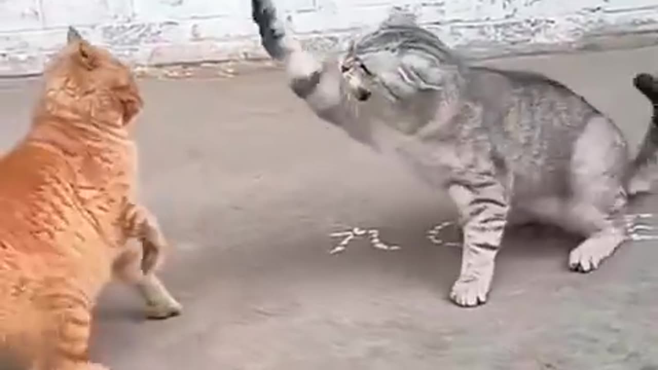 Try not to laugh challenge part 2 😂😂