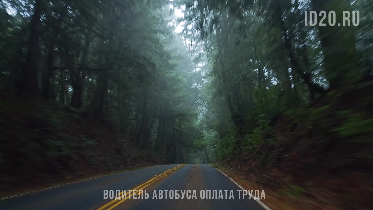Водитель автобуса оплата труда. Оплата труда водителя автобуса сегодня выходит на новый уровень
