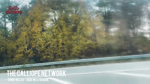 HELLO WESTBROOK | SEASON 2 | EP 2: Blossoms Big Day