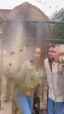 ZOO SELFIE 🐘 EPIC FAIL