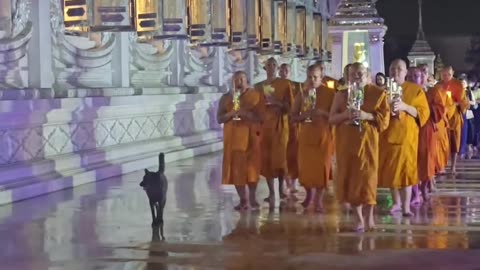 เวียนเทียนวันอาสาฬหบูชา #โมทนาบุญ #วัดวีระโชติธรรมารามจังหวัดฉะเชิงเทรา