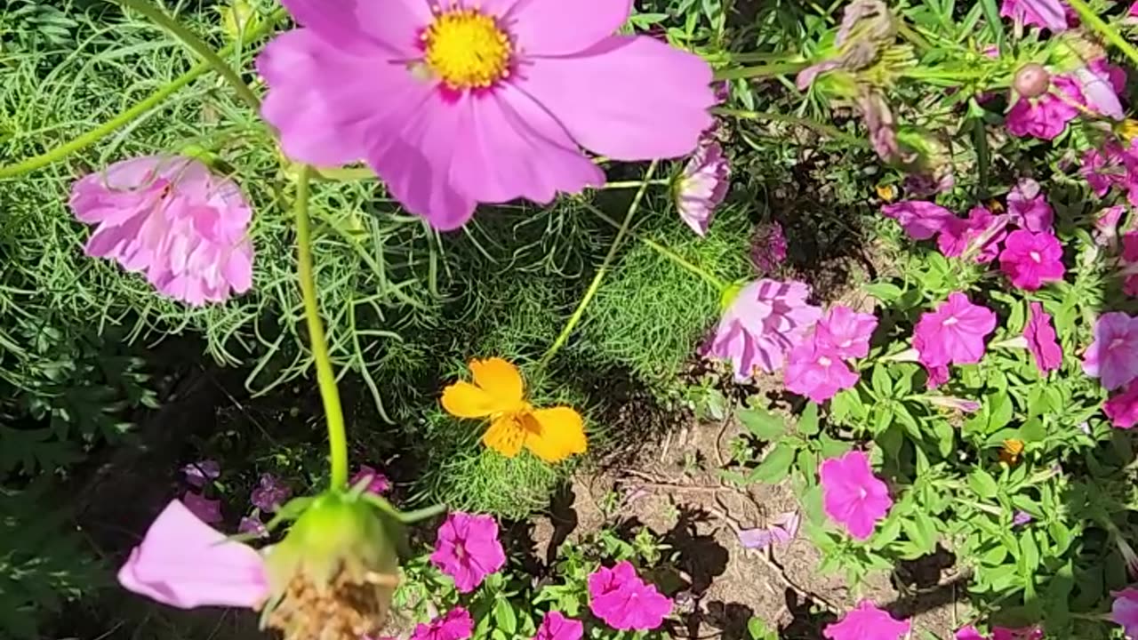 "Our Blooms are Cleana we got The illest Wildflowers from here to Gardenia."