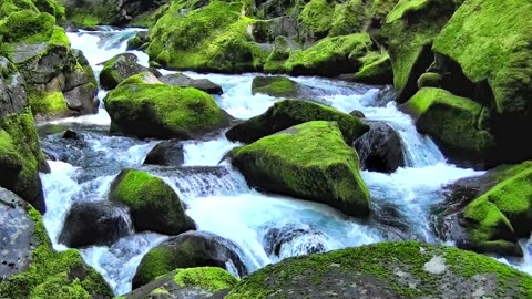 River, rocks, moss