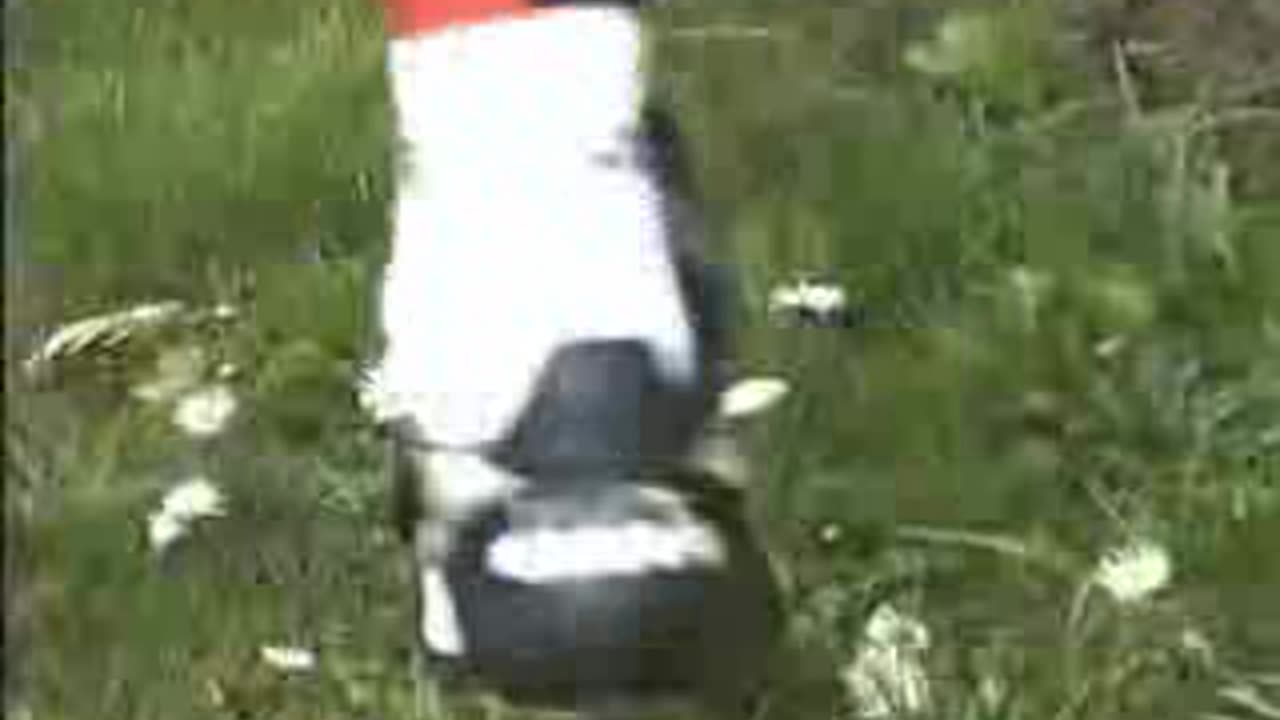 Cleats Crush Flowers - Male Content