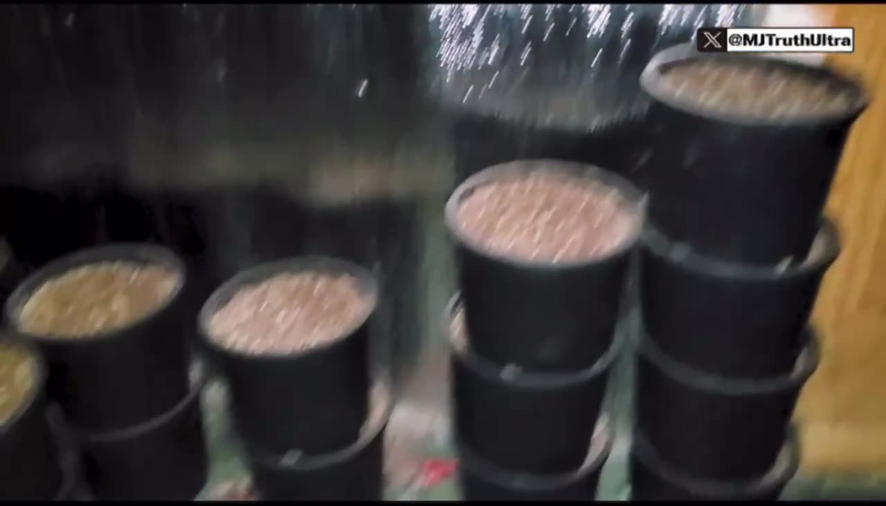 Chinese Drug and Human trafficking ops operated within 600ft of Customs