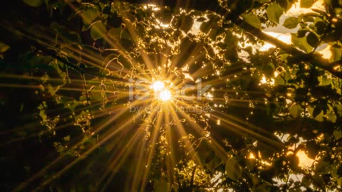 Reflecting on the gift of God's grace