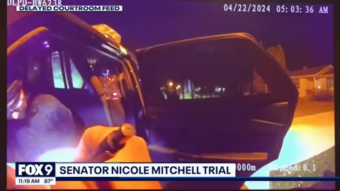 Police bodycam reveals Sen. Nicole Mitchell's burglary arrest
