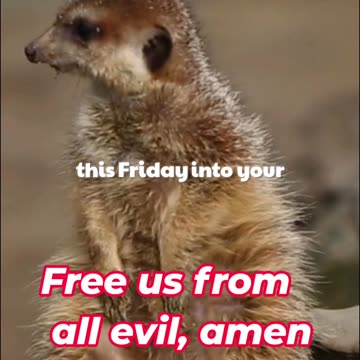 Free us from all evil, amen